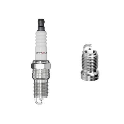 Platinum Spark Plug Ptr6d -13 5598